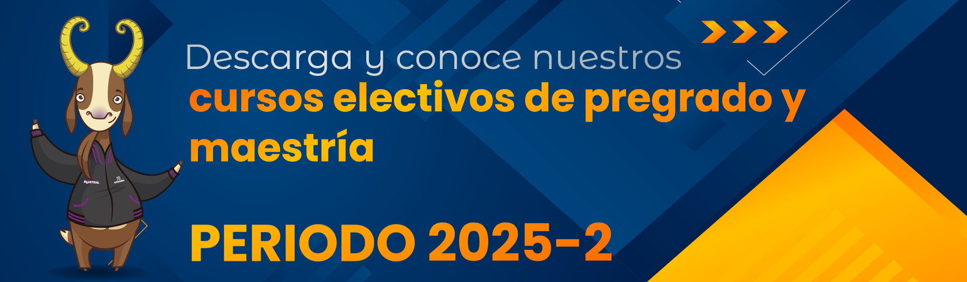 cursos 2025