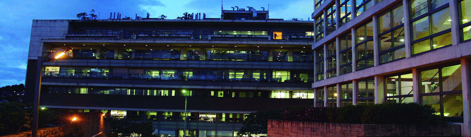 Banner Convocatorias