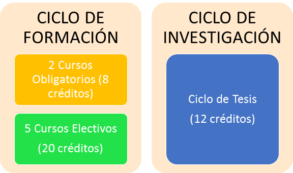 Maestria estructura curricular Maestria estructura curricular